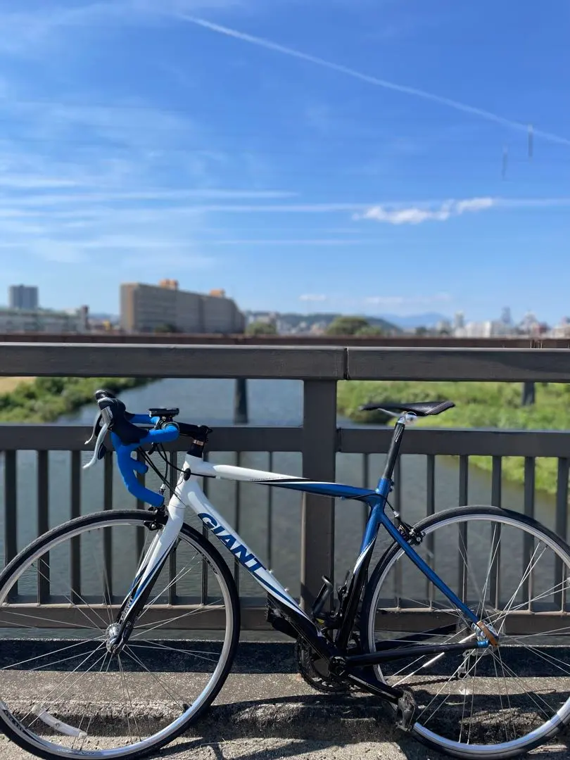 2026年最新】ジャイアント ロードバイク 青の人気アイテム - メルカリ