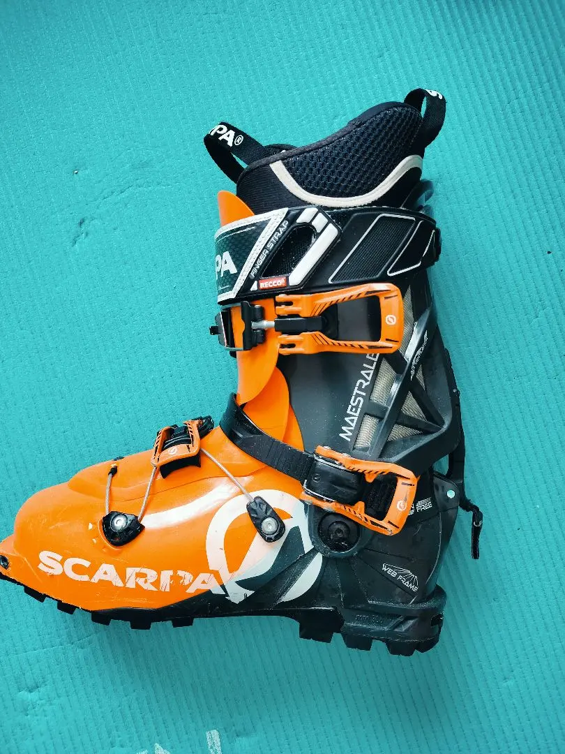 2026年最新】SCARPA スカルパ マエストラーレの人気アイテム - メルカリ