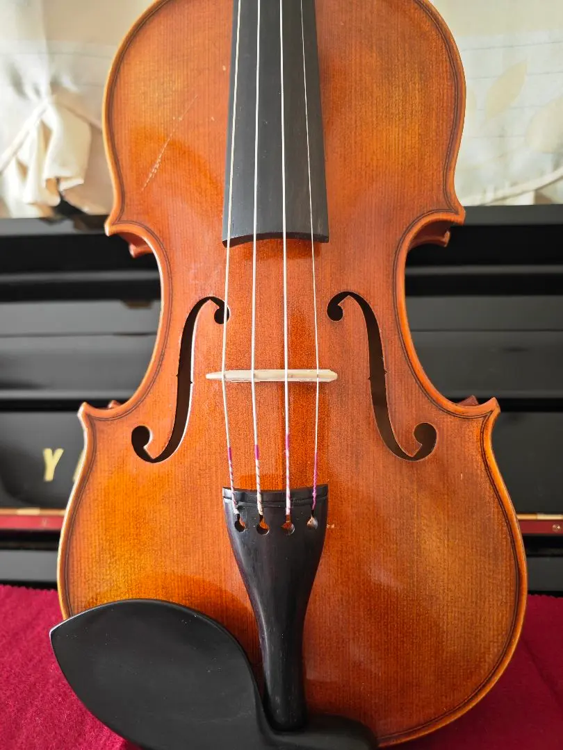 2026年最新】カールヘフナー チェロの人気アイテム - メルカリ