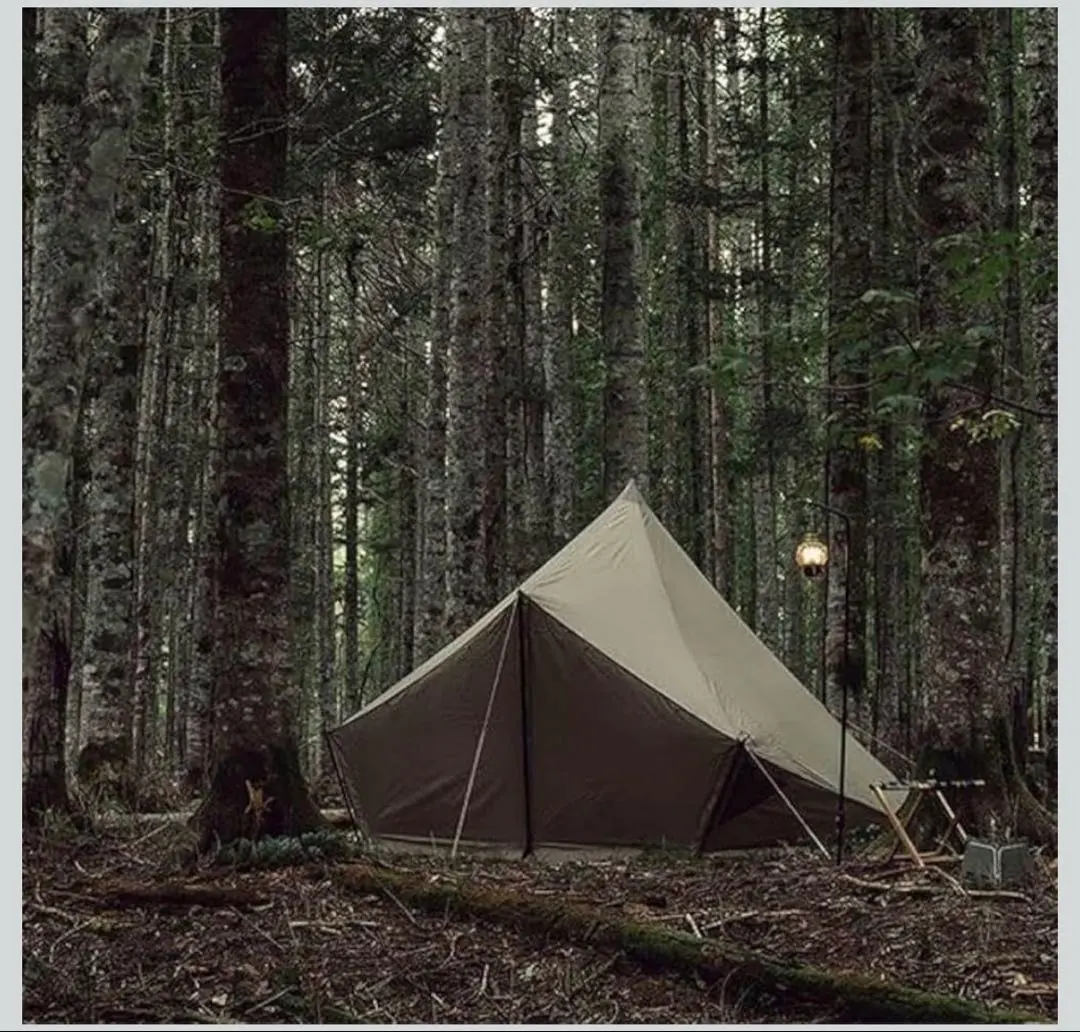 2026年最新】モーニンググローリー シンセティックの人気アイテム