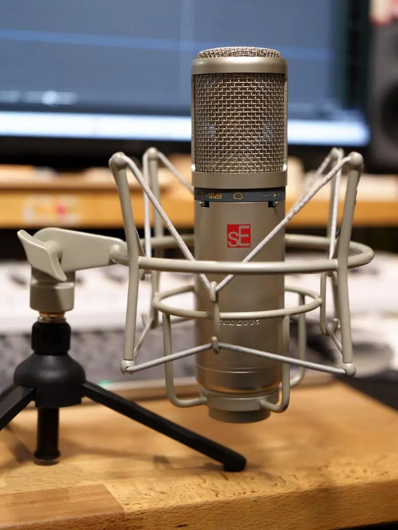 2026年最新】sE ELECTRONICS sE2200a II コンデンサーマイクの人気
