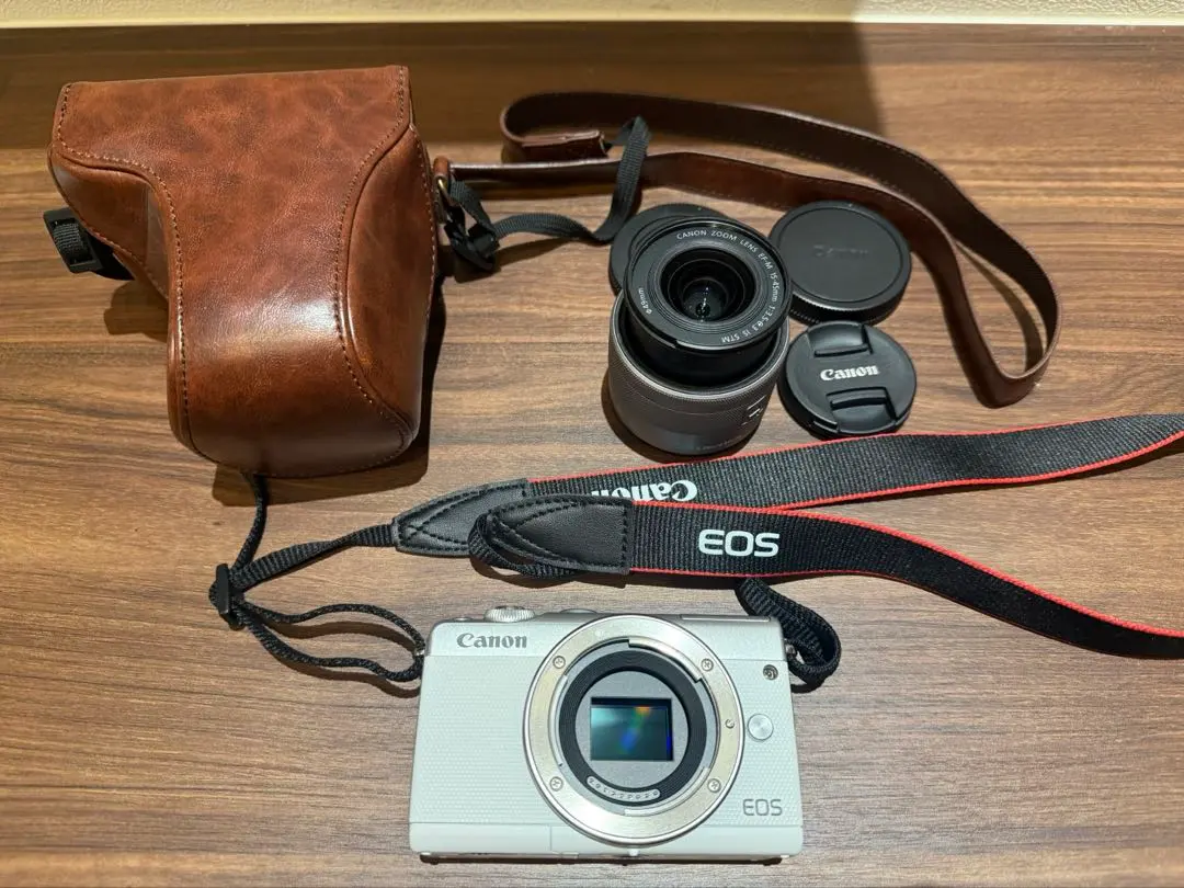 2026年最新】canon eos m100 ピンクの人気アイテム - メルカリ