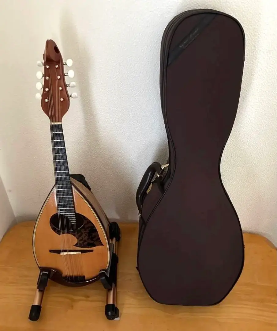 2026年最新】マンドリン 野口の人気アイテム - メルカリ