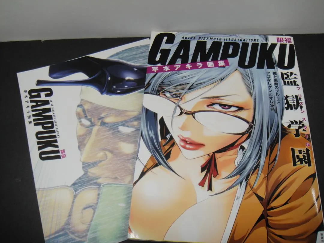 2026年最新】平本アキラ画集 GAMPUKU 眼福の人気アイテム - メルカリ