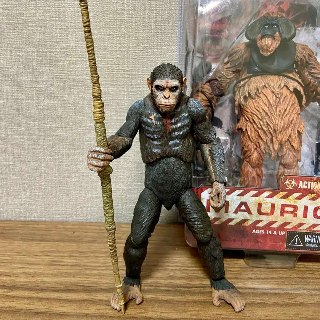 m29619737336_1.jpg?1764113574