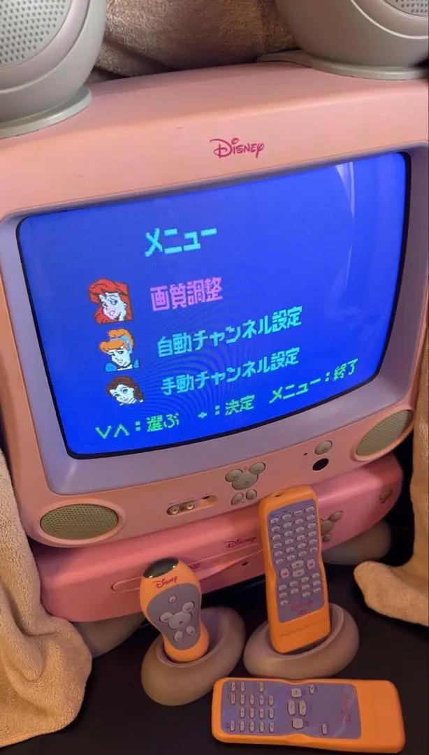 2026年最新】Disney ブラウン管テレビ・テレビデオの人気アイテム