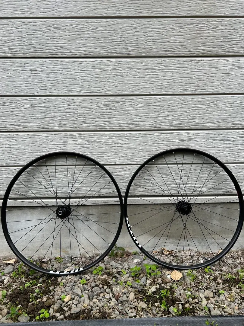 2026年最新】Santa CRUZ chameleonの人気アイテム - メルカリ