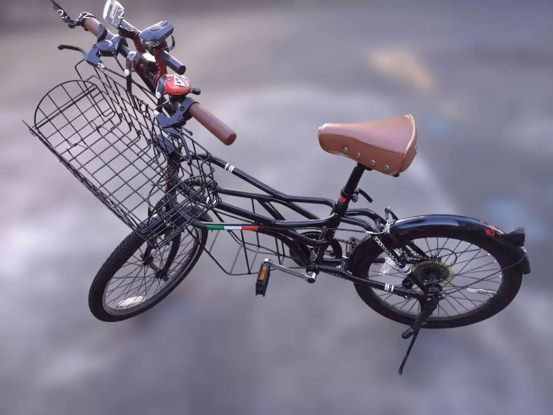 2026年最新】doppelganger ドッペルギャンガー 20インチの人気アイテム