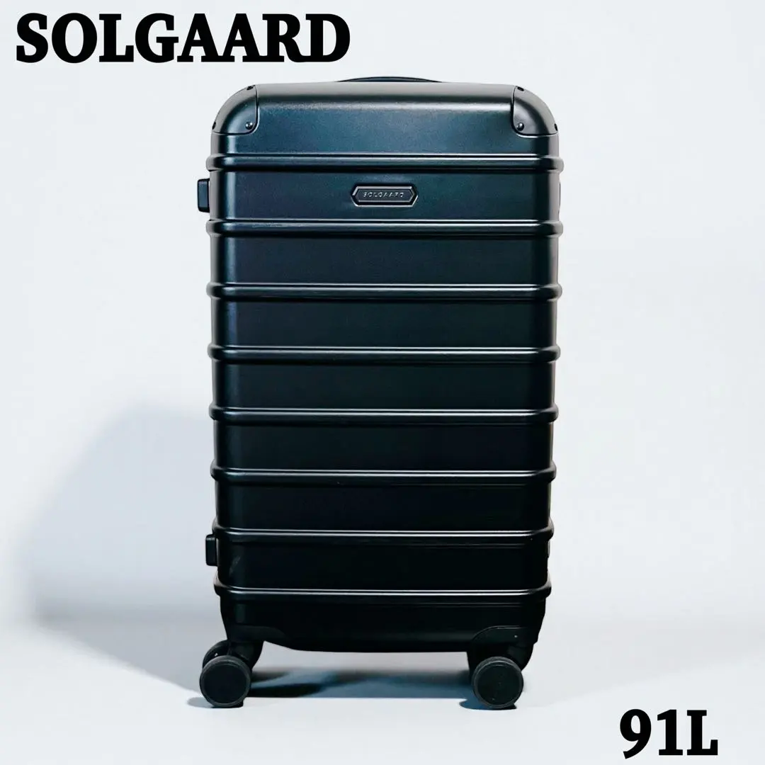 2026年最新】SOLGAARD Trunk Closet -L 大容量 91Lの人気アイテム