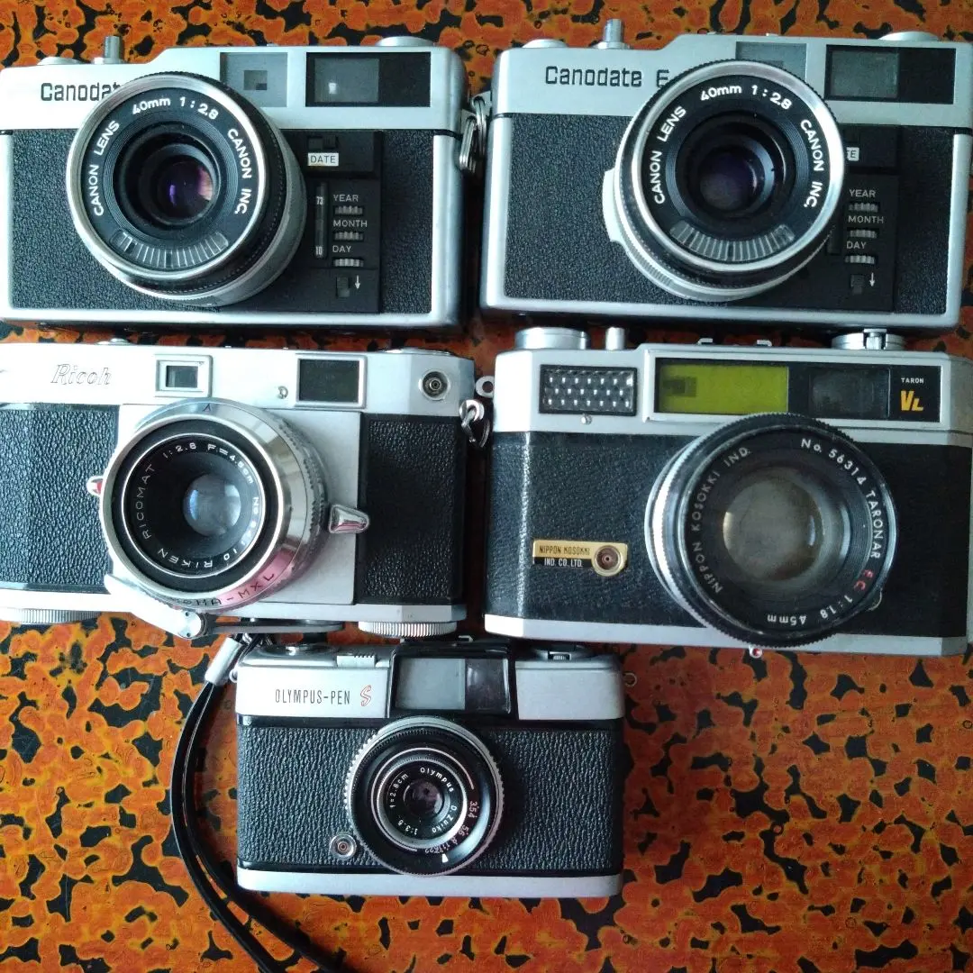 2026年最新】canodate eの人気アイテム - メルカリ