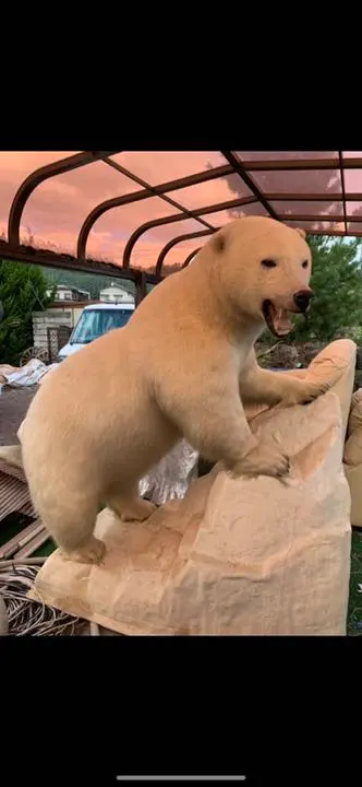 m31674525110_1.jpg?1741909831