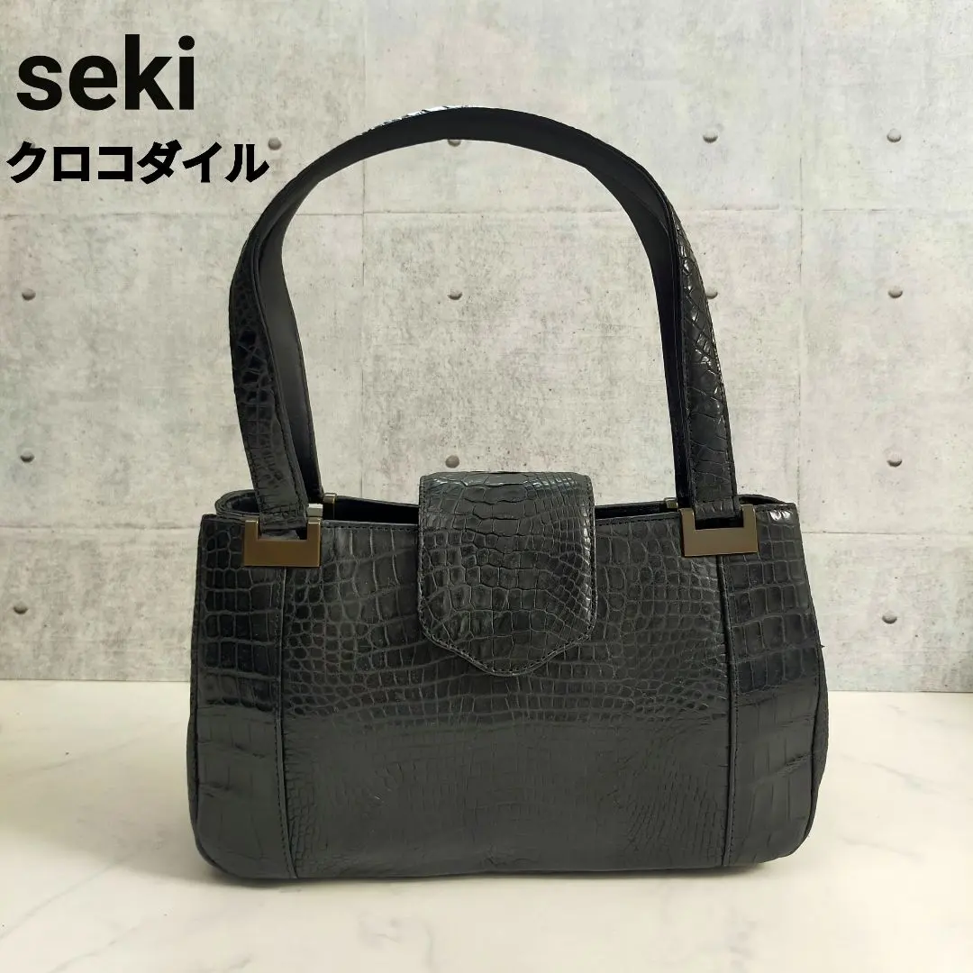 2026年最新】BAGFAN クロコの人気アイテム - メルカリ