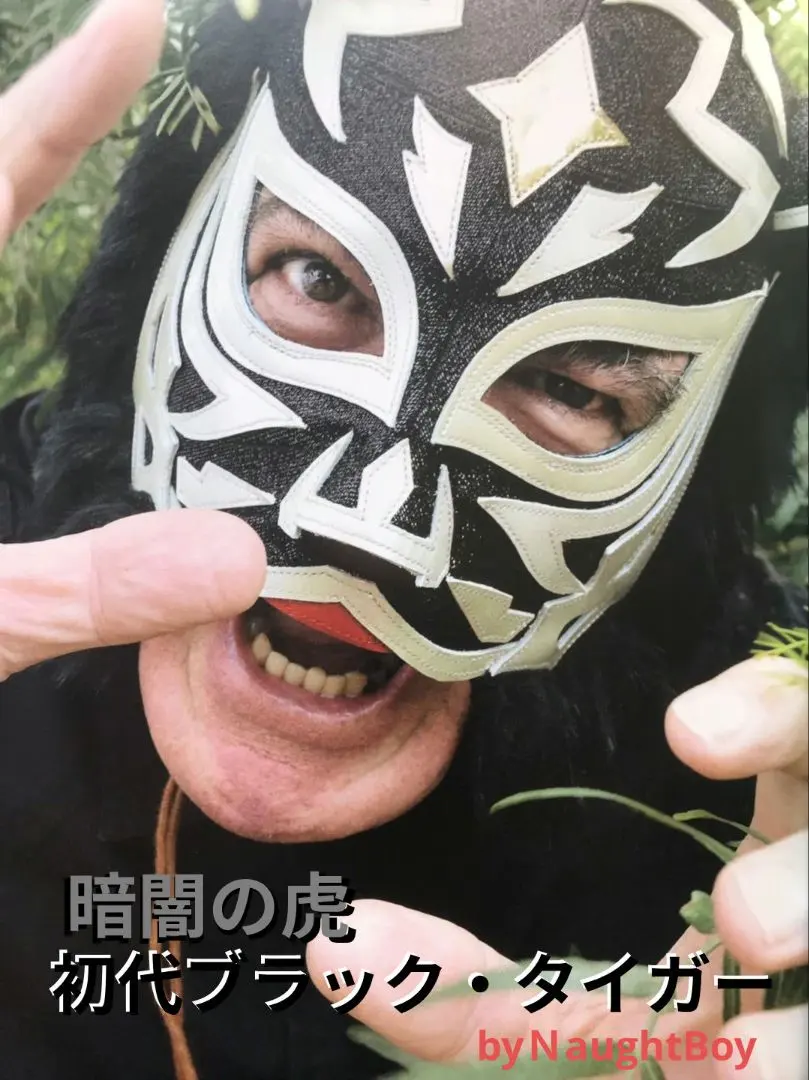 2026年最新】初代タイガーマスク 直筆サイン入りの人気アイテム - メルカリ