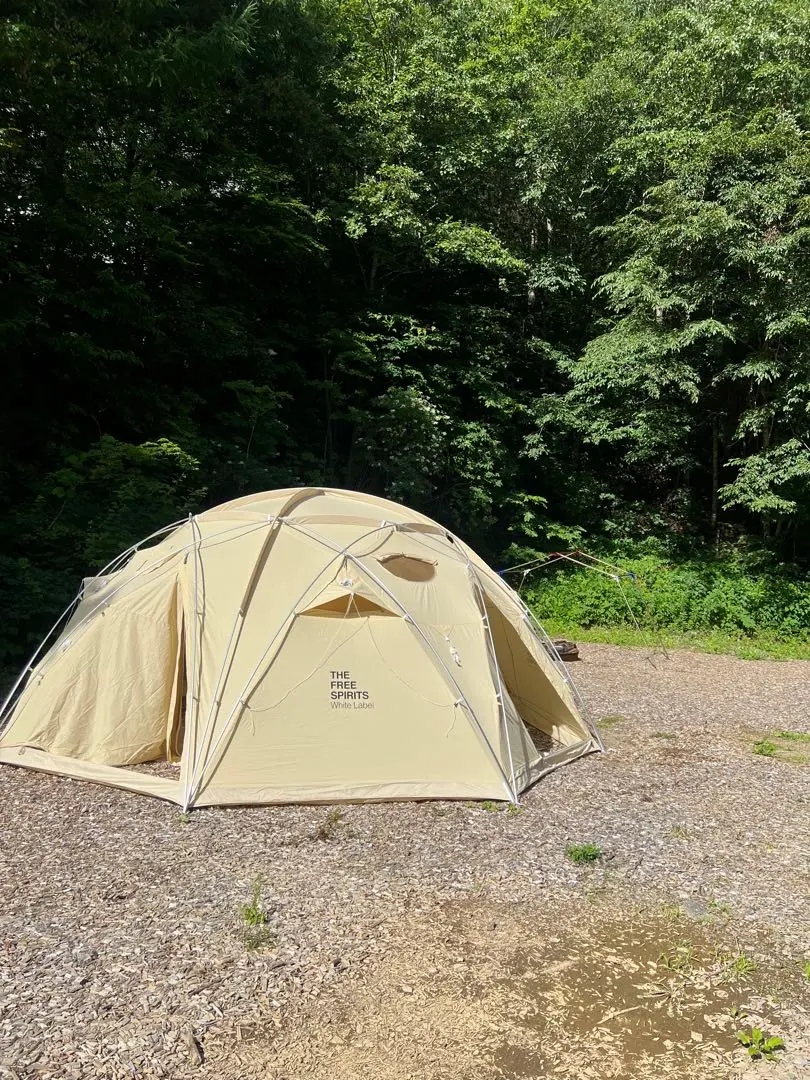 m32861807663_1.jpg?1745311444