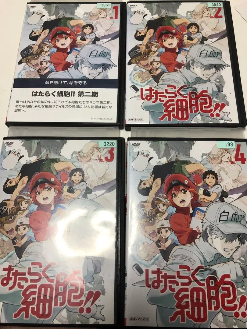 2026年最新】はたらく細胞 dvd 全巻の人気アイテム - メルカリ