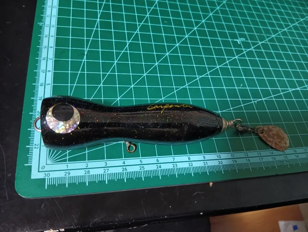 2026年最新】カーペンター シーフロッグの人気アイテム - メルカリ