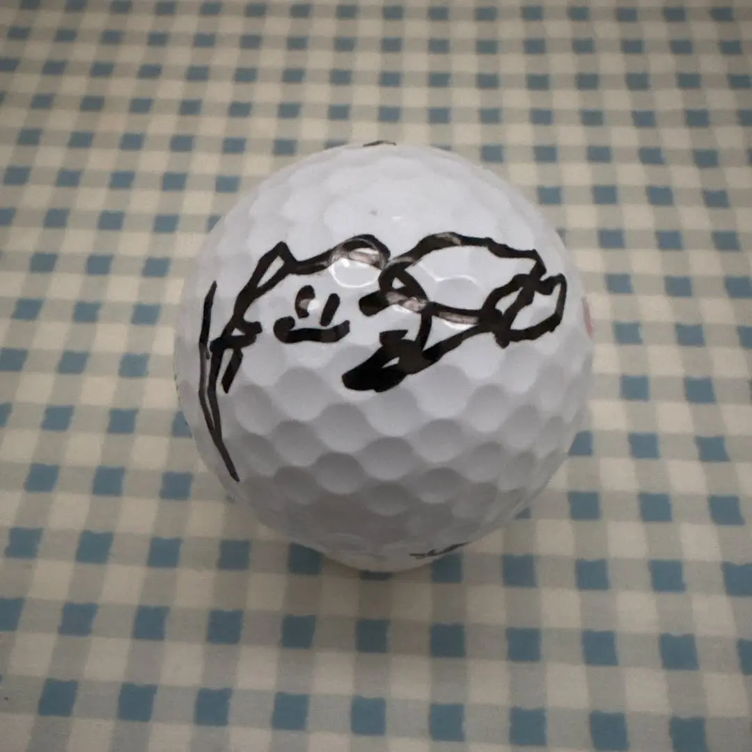 2026年最新】菅沼菜々 サインの人気アイテム - メルカリ