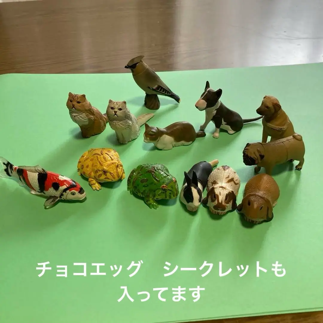 2026年最新】チョコエッグ 盲導犬の人気アイテム - メルカリ