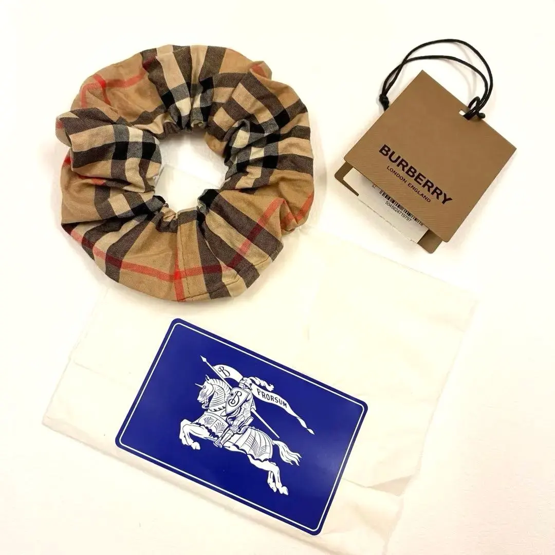 2026年最新】BURBERRY ヘアゴム・シュシュの人気アイテム - メルカリ