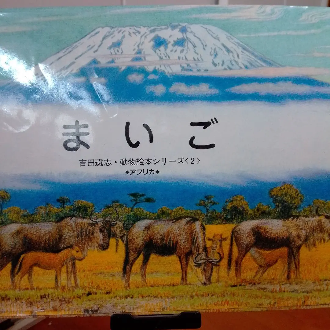 2026年最新】吉田遠志 動物絵本シリーズ?アフリカの人気アイテム