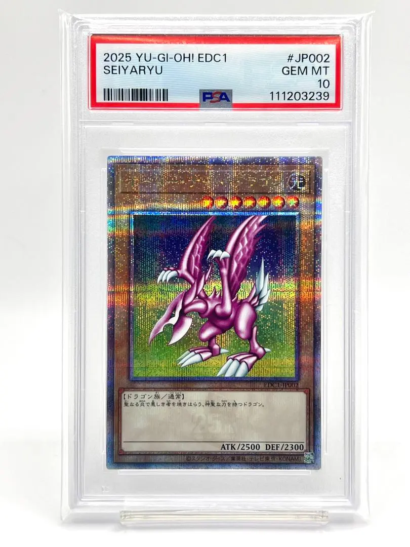 2026年最新】ホーリーナイトドラゴン 25th psa10の人気アイテム - メルカリ