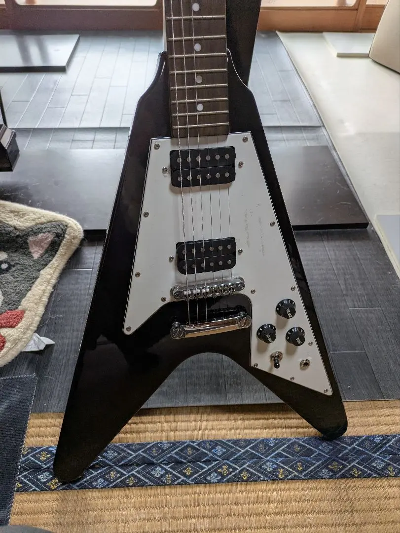 2026年最新】フォトジェニック フライングvの人気アイテム - メルカリ