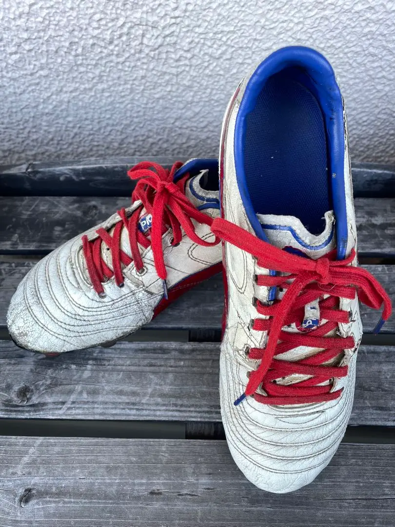 2026年最新】パラメヒコ 26.5の人気アイテム - メルカリ