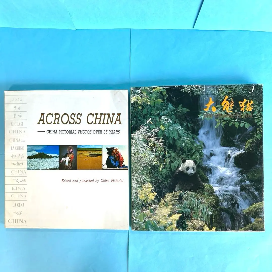 2026年最新】中国 パンダ 掛軸の人気アイテム - メルカリ