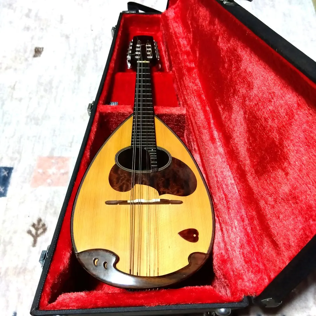 2026年最新】suzuki m-20 マンドリンの人気アイテム - メルカリ