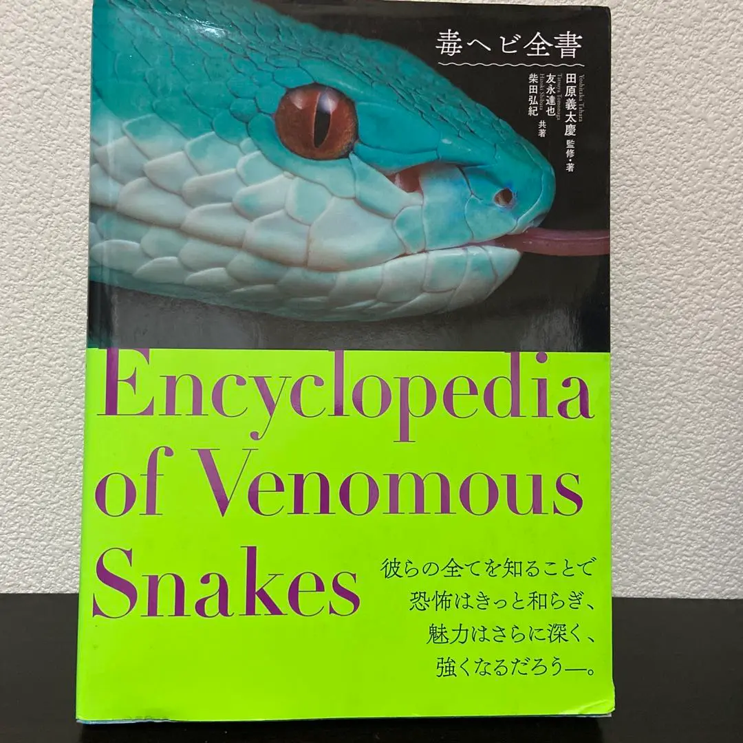 2026年最新】田原義太慶の人気アイテム - メルカリ