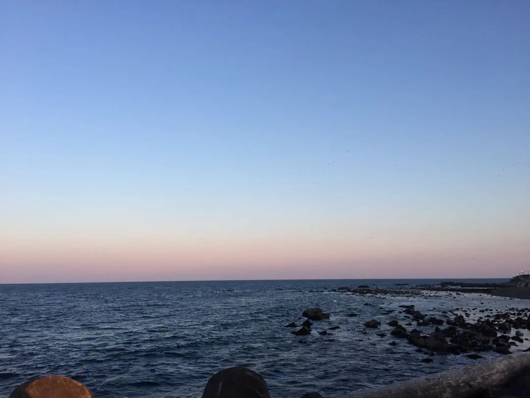 2026年最新】bcstream dr161の人気アイテム - メルカリ