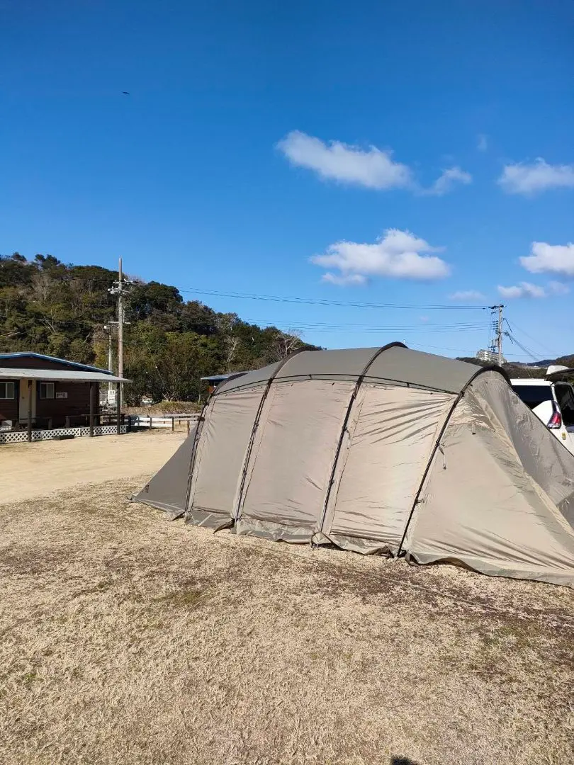 2026年最新】サバティカルアルニカの人気アイテム - メルカリ