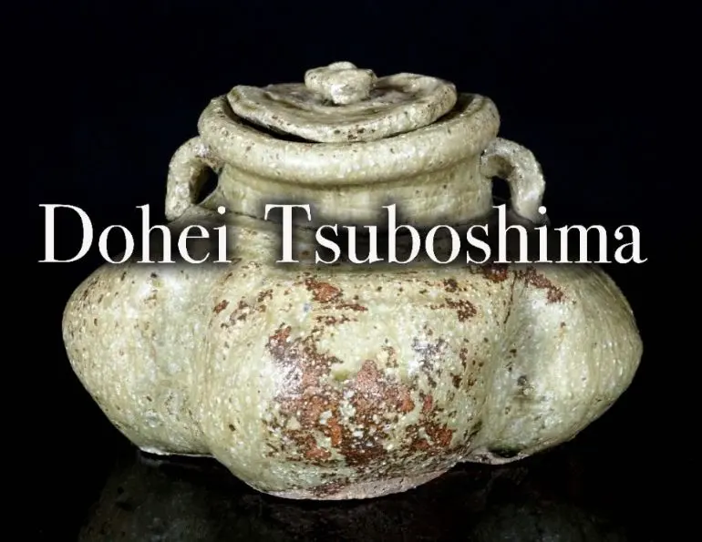 2026年最新】伊賀 水指の人気アイテム - メルカリ