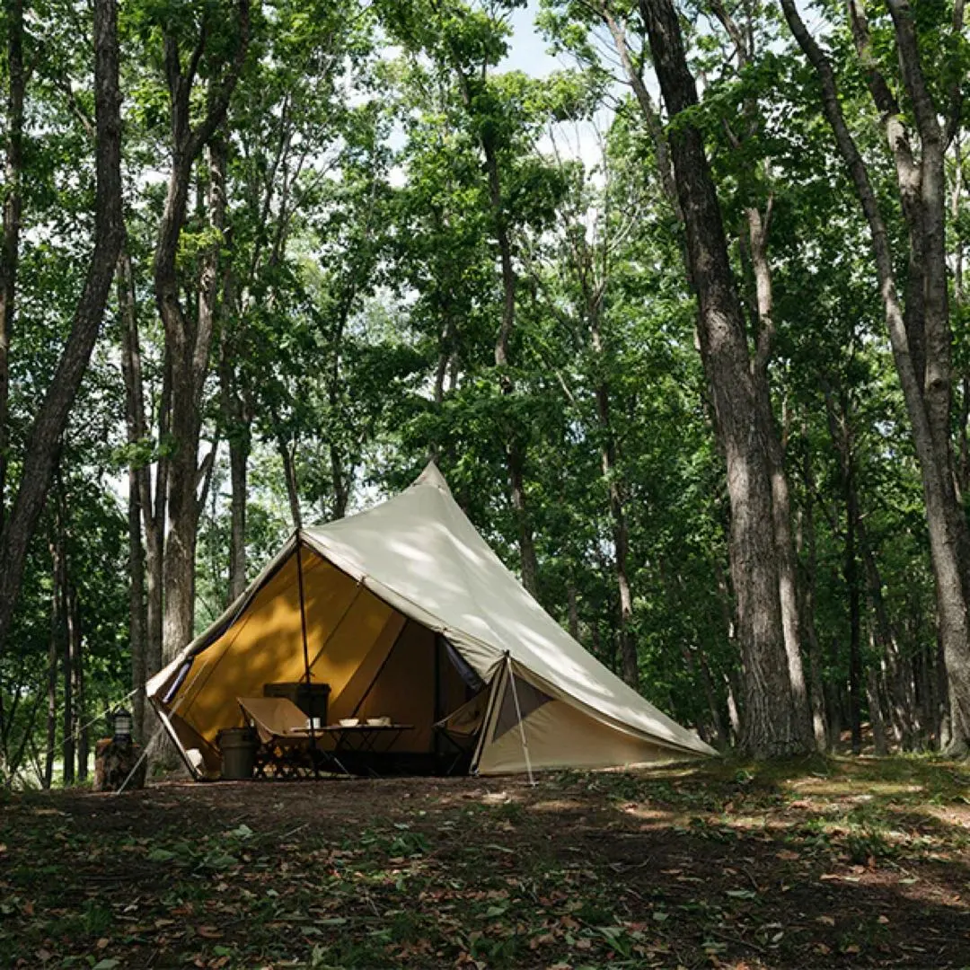 2026年最新】マリポサ M TCの人気アイテム - メルカリ