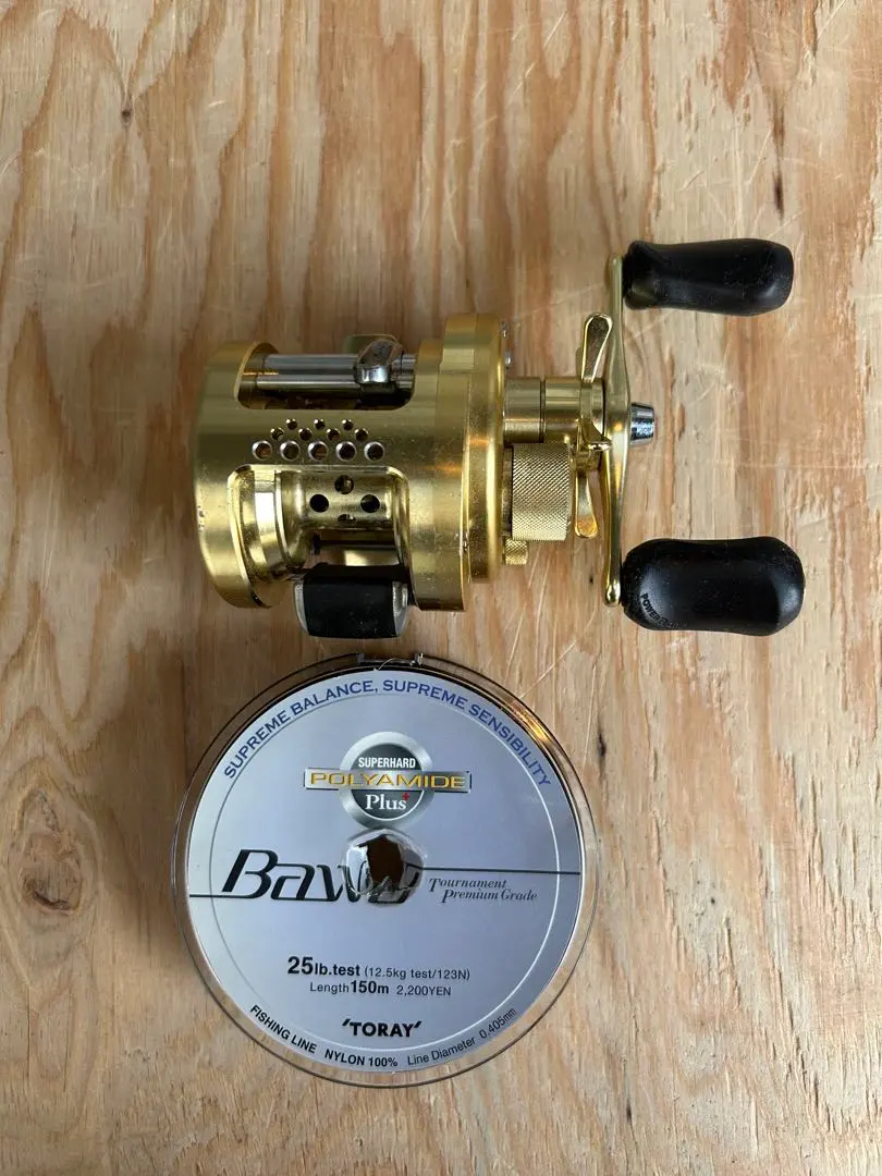 2026年最新】初代カルカッタ100の人気アイテム - メルカリ