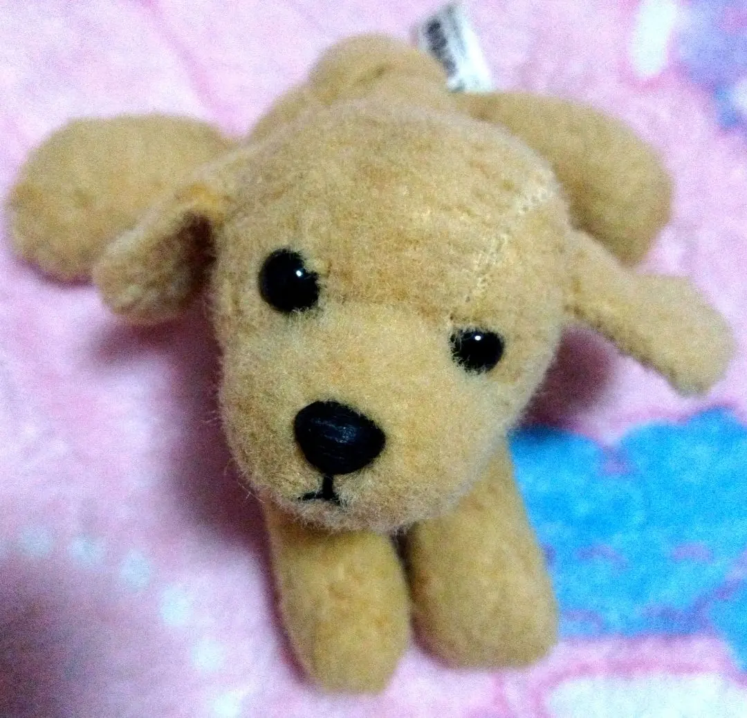 2026年最新】como＆rayの人気アイテム - メルカリ