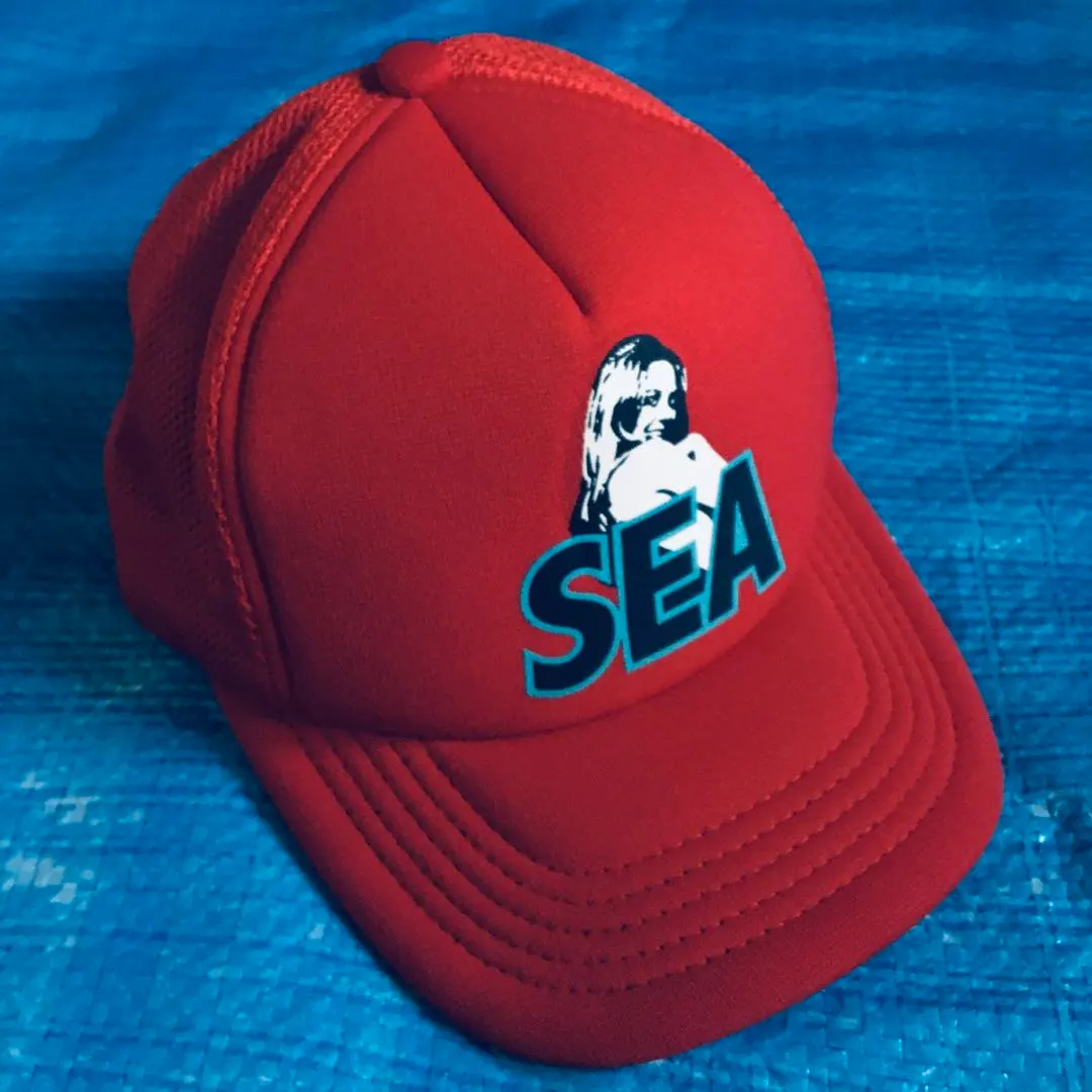 2026年最新】wind and sea ヒステリックグラマー キャップの人気