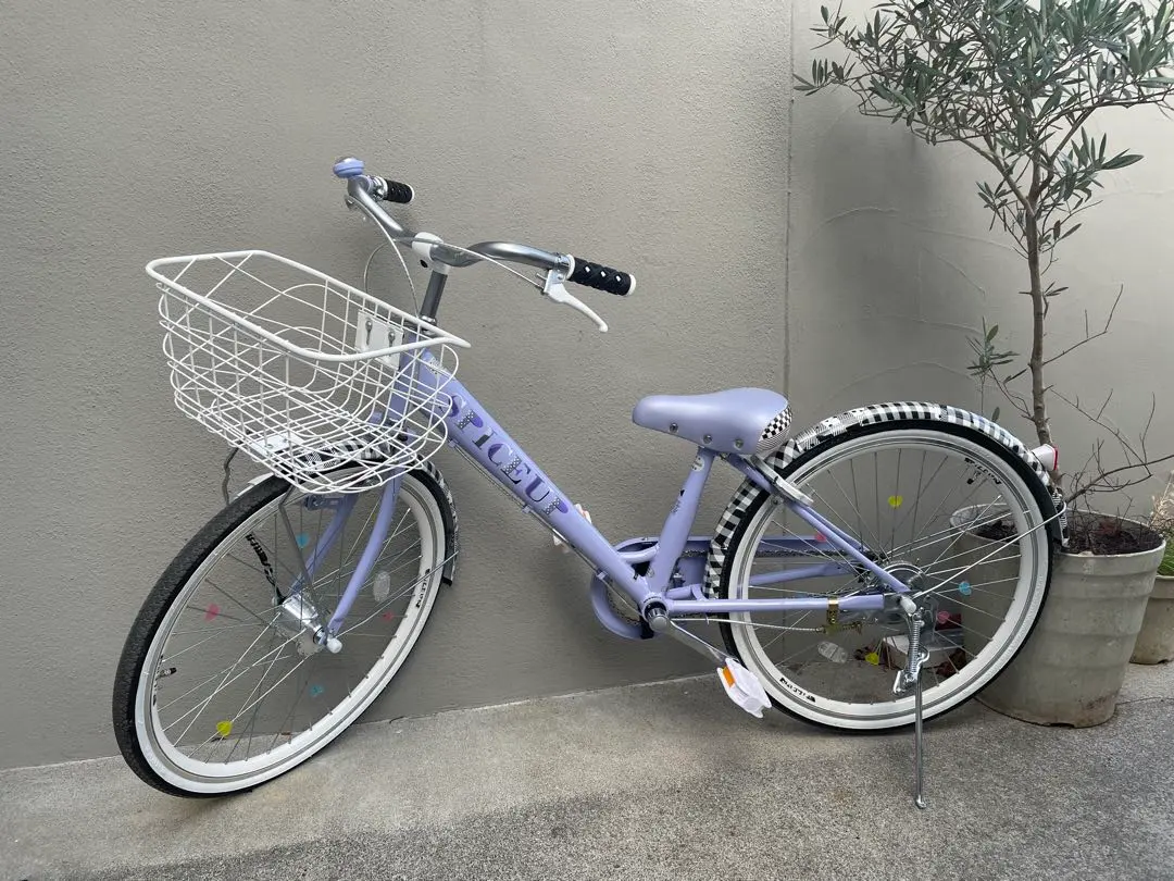 m45838228639_1.jpg?1765812786