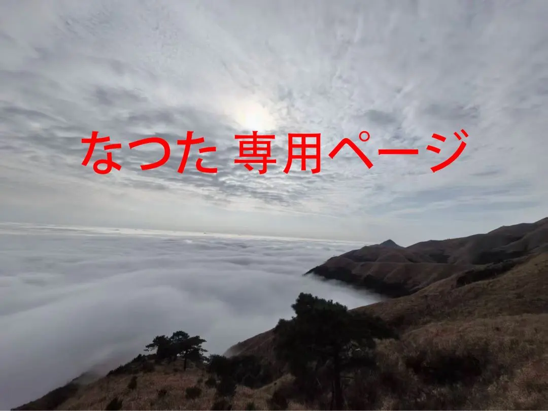 2026年最新】ブロッサムクリームバニーの人気アイテム - メルカリ