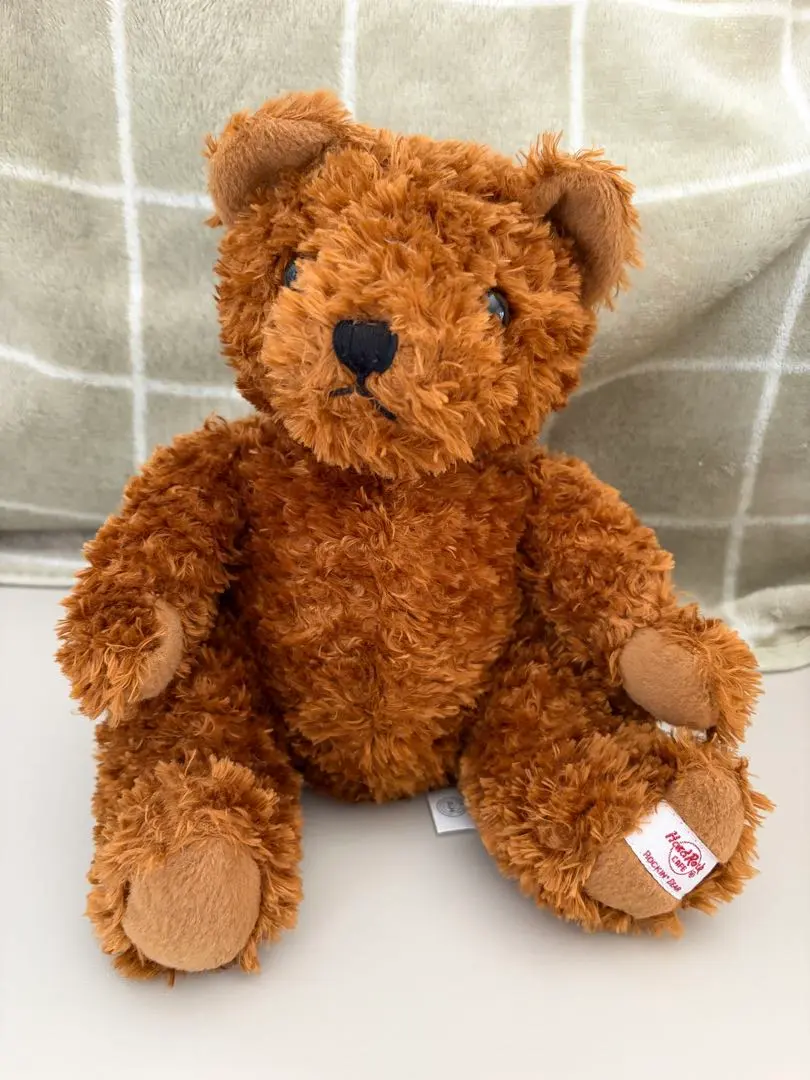 2026年最新】ハードロックカフェ ベアの人気アイテム - メルカリ