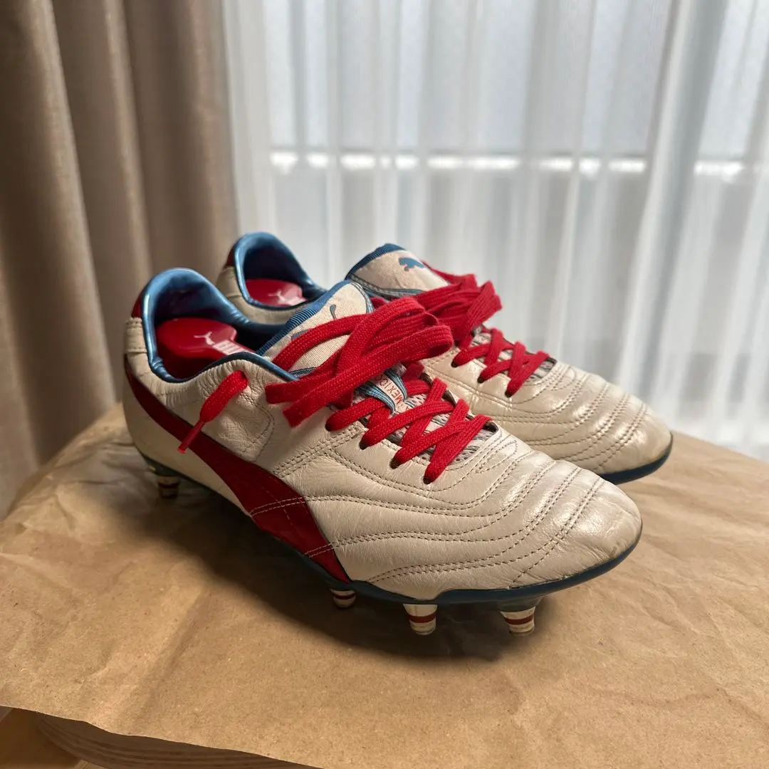 2026年最新】パラメヒコライトの人気アイテム - メルカリ