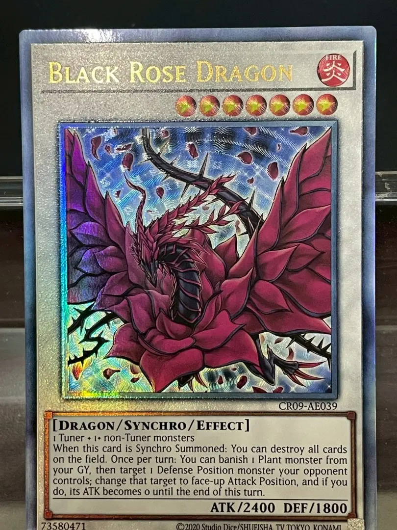 2026年最新】ブラック・ローズ・ドラゴン レリーフ 英語の人気アイテム