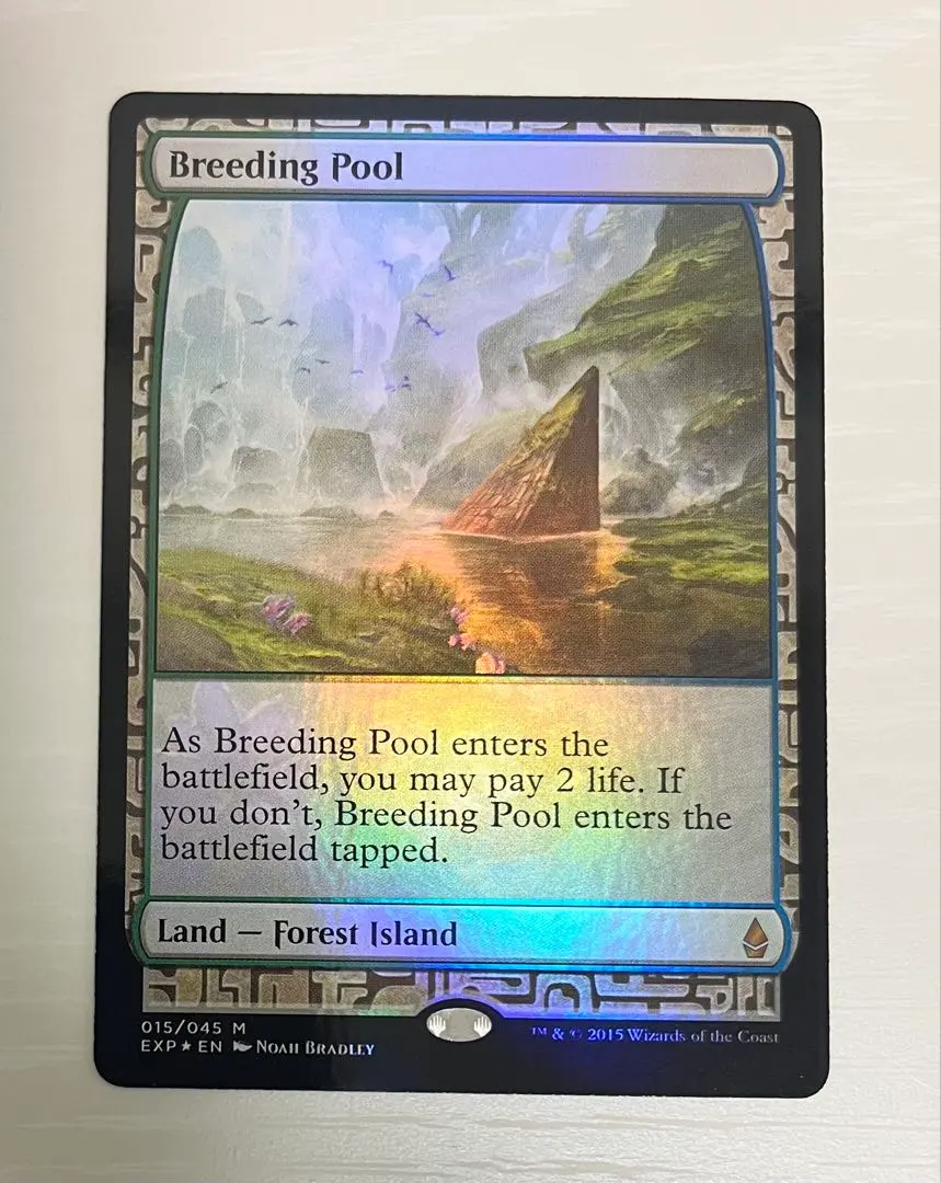 2026年最新】繁殖池 foilの人気アイテム - メルカリ