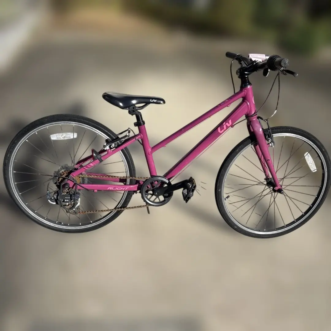 2026年最新】ジャイアント 24インチの人気アイテム - メルカリ