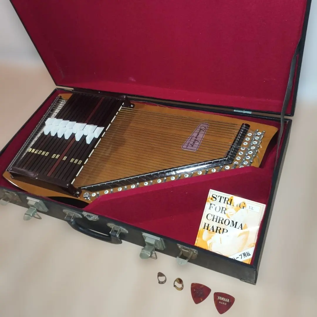 2026年最新】オートハープの人気アイテム - メルカリ
