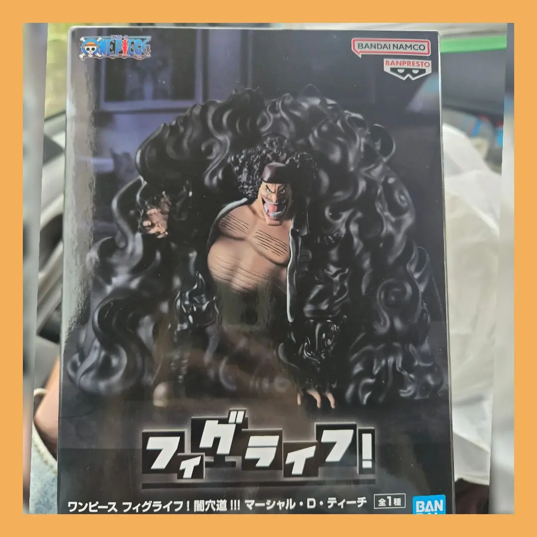 2026年最新】フィグライフ! 闇穴道!!! マーシャル・D・ティーチの人気