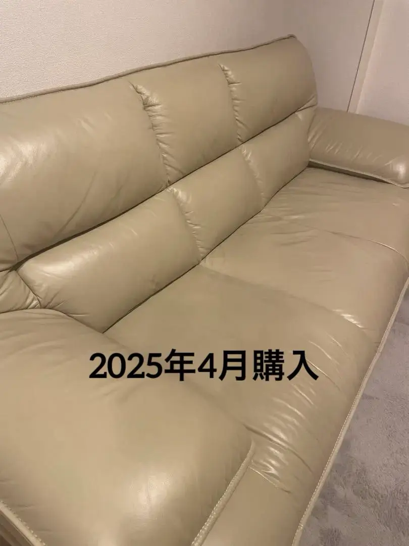 2026年最新】ニトリ ソファ ロゾの人気アイテム - メルカリ