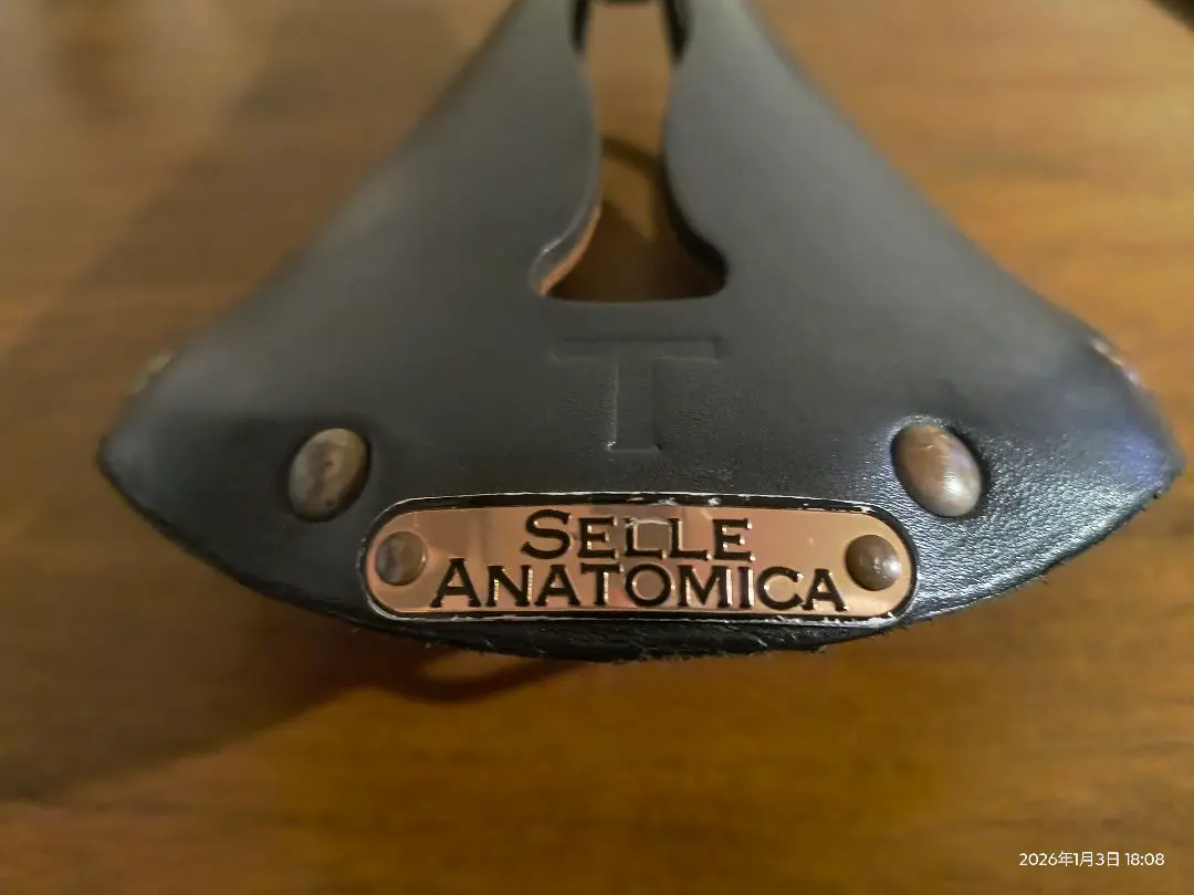 2026年最新】セラアナトミカの人気アイテム - メルカリ