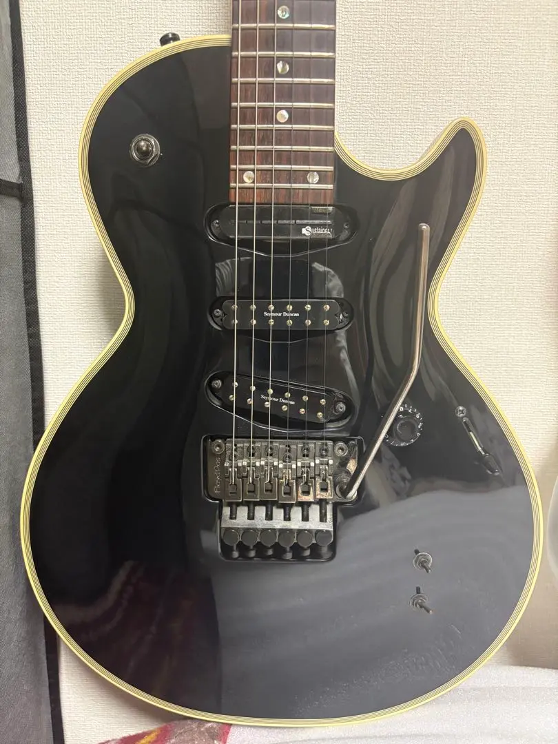 2026年最新】サスティナー ピックアップの人気アイテム - メルカリ