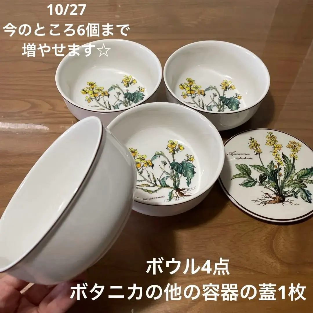 2026年最新】ビレロイボッホ ボタニカの人気アイテム - メルカリ